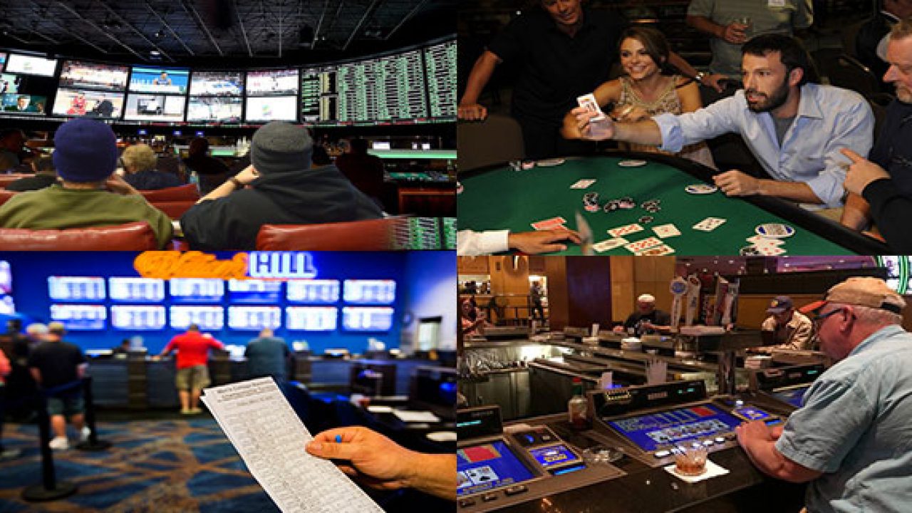 Sports betting professional gambler what is a crypto coin