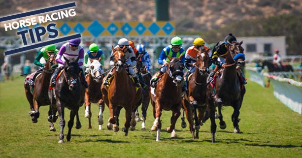 What You Should Know When Going to the Horse Track
