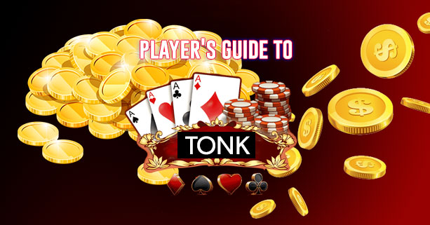 All in One Tonk Guide