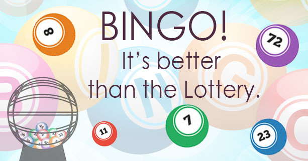 5 Reasons Bingo is better than the lottery feature image