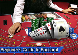 Beginner's Guide to Baccarat