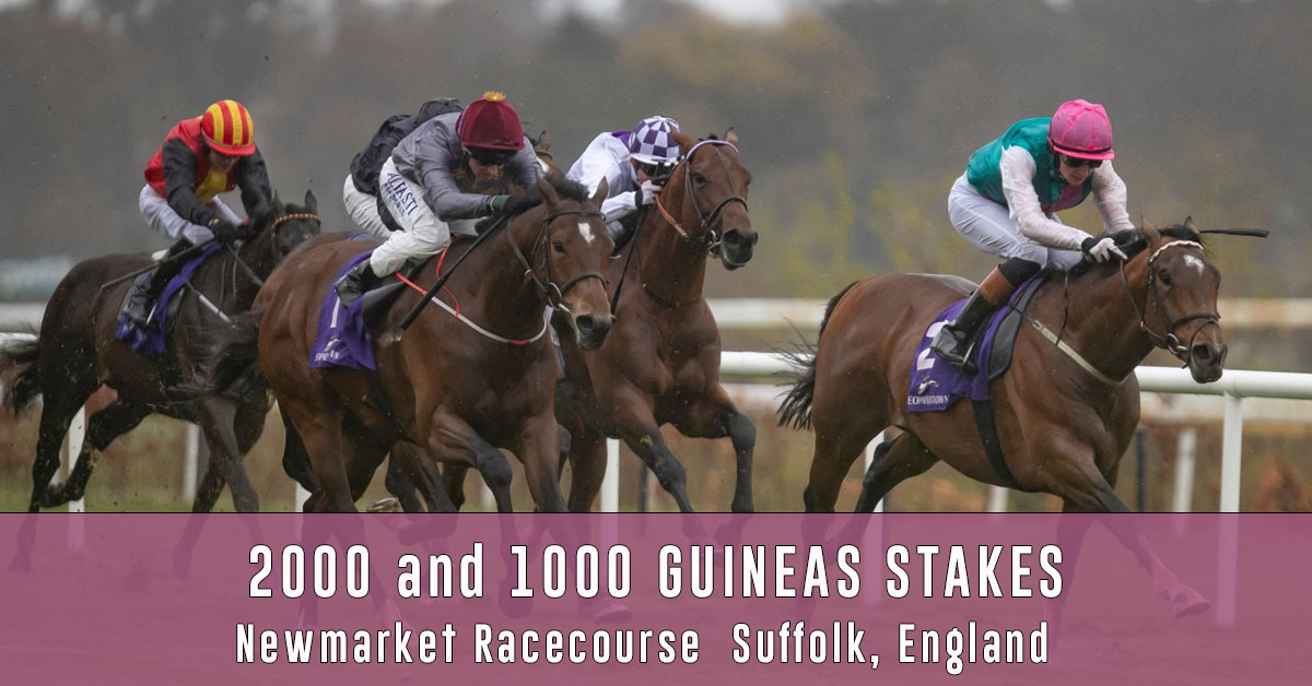 2000 and 1000 Guineas Stakes Horse Racing Odds