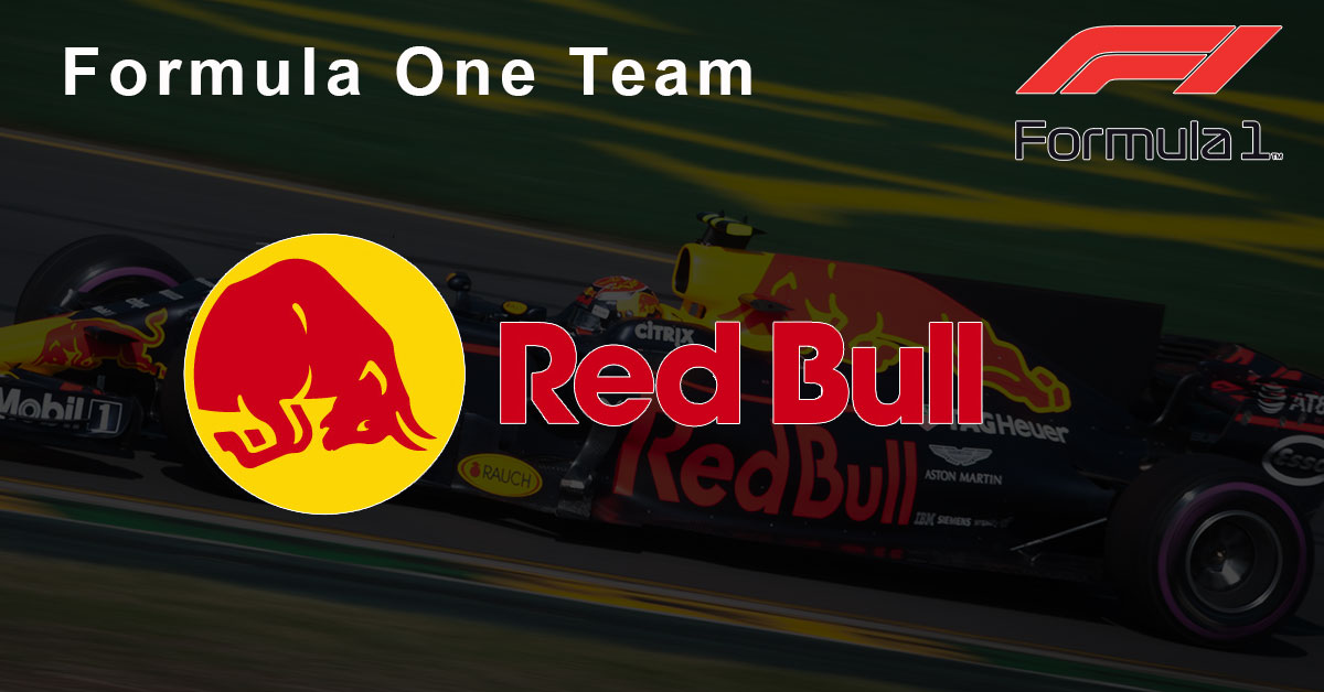 2019 F1 Red Bull Racing Team